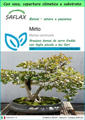 Immagine prodotto di SAFLAX Garden to go - Mirto - 30 semi - Myrtus