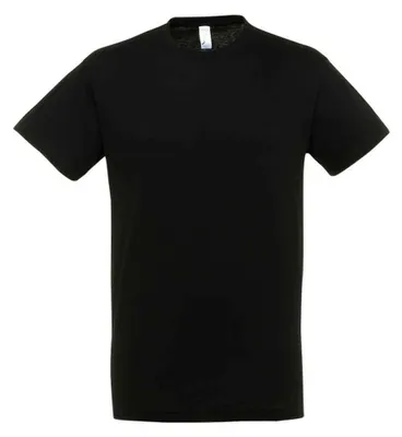 Image de SOLS - T-shirt « Regent » pour hommes/femmes Unie LT2888 (L) (noir)