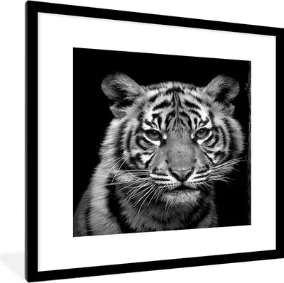 Produktbild von MuchoWow® MuchoWow® Gerahmtes Poster Tiger - Tiere - Schwarz - Weiß 40x40 cm - Poster mit zchwarzem Bilderrahmen - Poster - Plakat im Rahmen