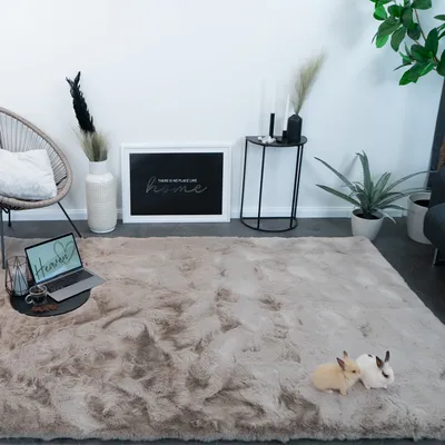 Produktbild von Consilio Concept Fellteppich 120x170 taupe Teppich supersoft 50 mm Höhe soft weich Hasenfell Imitat beige braun