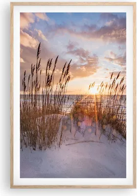 Produktbild von Gerahmtes Poster - Rahmen in heller Eiche - Westen auf der Strand - 61x91,5 cm - Wand Bild - Wanddeko - Wandbilder - Kunstposter - Wandposter - Bilderrahmen - Bilder - Kunstdruck - P2NPA61x91-4710