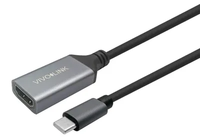 Image de Câble HDMI femelle vers USB-C 1m Noir