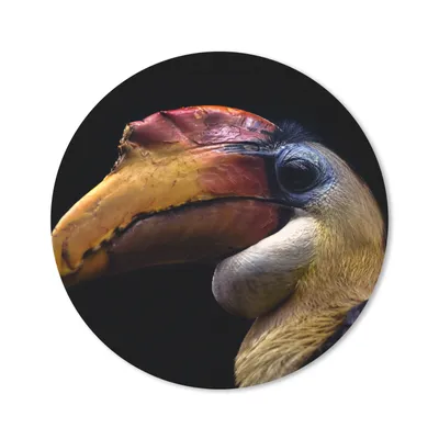 Produktbild von MuchoWow® Mauspad Mousepad Vogel - Schnabel - Schwarz 50x50 cm - Mousepads - Maus Mat - Pad - Mausunterlage - Vinyl