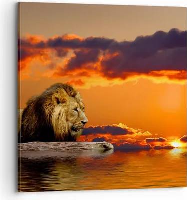 Produktbild von Bild auf Leinwand - Leinwandbild - Löwe Sonne Landschaft - 70x70cm - Wand Bild - Wanddeko - Leinwanddruck - Bilder - Kunstdruck - Wanddekoration - Leinwand bilder - Wandkunst - AC70x70-0230