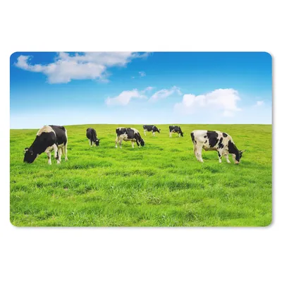 Produktbild von MuchoWow® Schreibtischunterlage Kuh - Gras - Himmel 60x40 cm - XXL Mauspad - Großes Mauspad