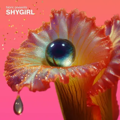 Immagine prodotto di Shygirl (Blane Muise): Fabric presenta: Shygirl