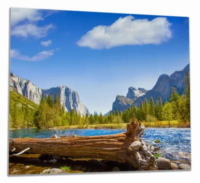 Produktbild von Wallario Herdabdeckplatte aus Glas, Größe 60 x 52 cm 1-teilig, Motiv Baumstamm im Fluss zwischen Bergen und Wäldern