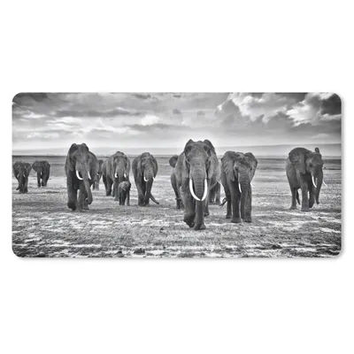 Produktbild von MuchoWow® Mauspad Mousepad Elefant - Schwarz - Weiß - Savanne 60x30 cm - Mousepads - Maus Mat - Pad - Mausunterlage - Nachhaltig