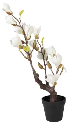 Productafbeelding van Clayre & Eef Kunstplant, magnolia, 16x14x60 cm, wit, kunststof