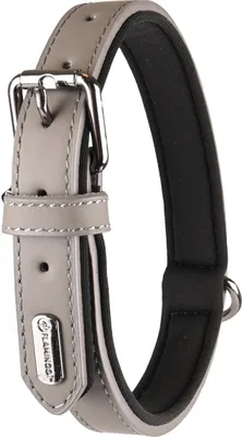 Produktbild von Flamingo Binti Hundehalsband Grau 36-44cm x 20mm Grau 36-44cm x 20mm