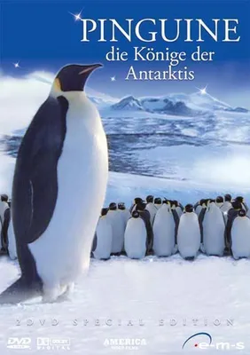 Produktbild von Pinguine - Die Könige der Antarktis