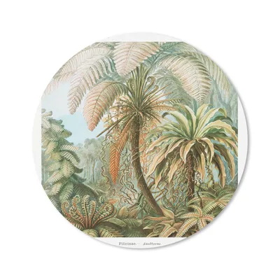 Produktbild von MuchoWow® Mauspad Mousepad Vintage - Alte Meister - Farne - Pflanzen - Natur 20x20 cm - Mousepads - Maus Mat - Pad - Mausunterlage - Schreibtischmatte