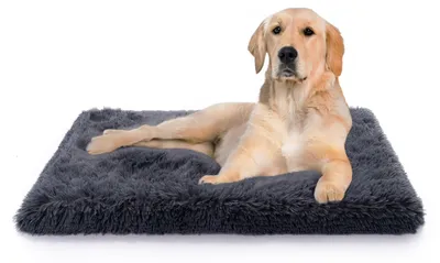 Produktbild von Hundebett Katzenbett Flauschig Hundekissen Hundesofa Hundedecke Hundekörbchen 60x100 cm