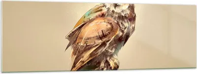 Produktbild von Bilder auf glas - Eule Vogel Natur - 160x50cm - Glasbilder - Wandbilder - Kunstdruck - zum Aufhängen bereit - Wanddekoration aus Glas - Glas Bilder - Wandbild auf Glas - Einteilig - GAB160x50-3856