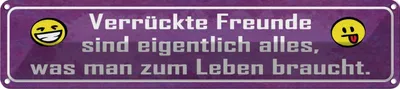 Image de vianmo Plaque en tôle 10x46 cm verrückte Freunde sind alles was