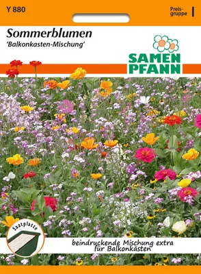 Artikelbild 1 von 'Balkonkastenmischung' aus der Kategorie Blumensamenmischung