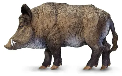 Produktbild von Safari Ltd Wildschweinefigur Braun From 3 Years Kinder Braun From 3 Years