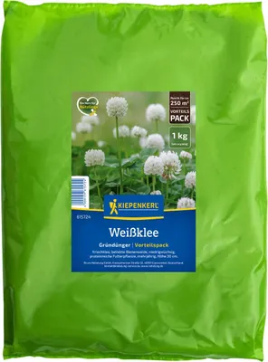 Produktbild von Kiepenkerl Kleesamen Weißklee Trifolium repens für 250 m² 1 kg