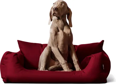 Produktbild von tierlando NEMO Hundebett Hundesofa S M L Hundekorb Katzenbett 65 80 100cm - Größe: 100x80cm | Farbe: 04 Dunkelrot