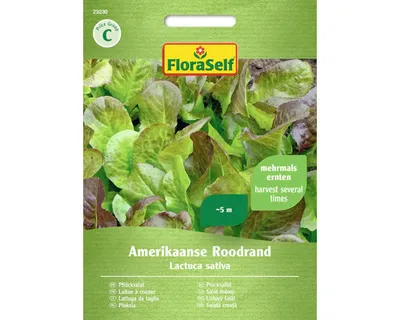 Obrázek produktu pro Salát listový Amerikaanse Roodrand FloraSelf
