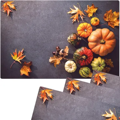 Produktbild von Abwaschbare Tischsets 4er Set Herbst-Laub & Kürbisse