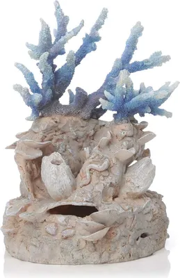Obrázek produktu pro biOrb Coral reef ornament blue