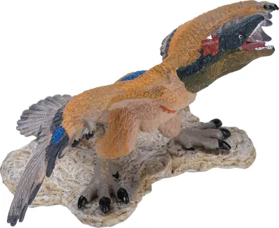 Obrázok produktu pre Hračka dinosaura Archaeopteryx, realistická, realistická, veľmi detailná, vzdelávacia figúrka, model dinosaura pre deti
