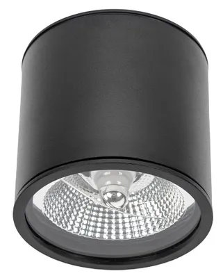 Image de Spots de plafond noir D-120mm AR111 GU10 IP65 rond