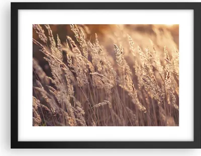 Produktbild von Gerahmtes Poster - Schwarzer Rahmen - Boho Ähren Feld - 40x30 cm - Wand Bild - Wanddeko - Wandbilder - Kunstposter - Wandposter - Bilderrahmen - Bilder - Kunstdruck - Wanddekoration - P2BAA40x30-4838