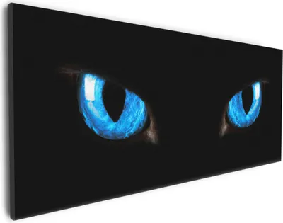 Produktbild von Wallario Premium Leinwandbild Blaue Katzenaugen bei Nacht in Größe 30 x 75 cm