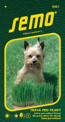 Produktbild von Samen - GRAS FÜR HUNDE 'GENIUS'