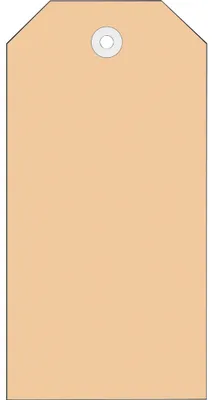 Immagine prodotto di HERMA Anhängezettel 6018 60x113mm Kunststofföse 1.000 St./Pack.