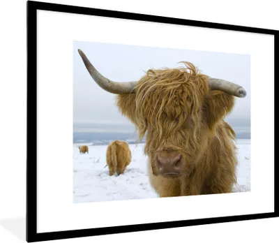Produktbild von MuchoWow® Gerahmtes Poster Schottische Highlander - Schnee - Kuh 80x60 cm - Poster mit Schwarzem Bilderrahmen Wandposter Rahmen Foto Bilder - Schlafzimmer-Dekorationen - Fotoposter