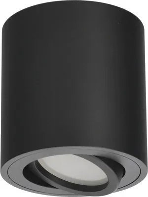 A black cylindrical ceiling light with a rotating spotlight.