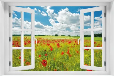 Produktbild von Wallario selbstklebendes Poster mit Fenster-Illusion - Grüne Wiese mit Mohnblumen, Größe: 100 x 150 cm