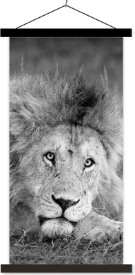 Produktbild von MuchoWow® Textilposter Löwe - Schwarz - Tiere 40x80 cm mit schwarzem Rahmen - Wandemalerei