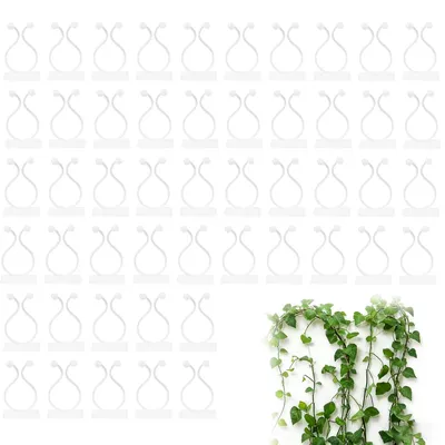 Image de Lot de 50 clips adhésives pour plantes grimpantes