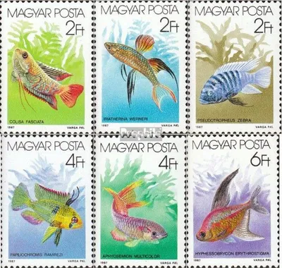 Produktbild von Briefmarken Ungarn 1987 Mi 3877A-3882A (kompl.Ausg.) postfrisch Zierfische