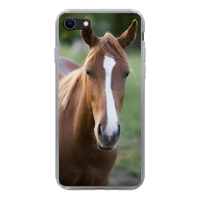 Produktbild von MuchoWow® Handyhülle Schutzhülle Hülle für iPhone SE 2022 Pferd - Natur - Porträt Silikon Softcase Handy Hülle - Schutzhülle