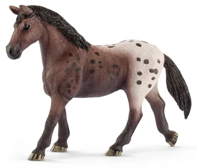 Immagine prodotto di Schleich 13861 - Cavallo Appaloosa