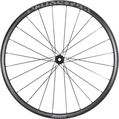 Imagen del producto de Rueda delantera de carbono Mavic Crosstrail SL 29, con disco