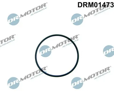 Image de Joint De Pompe D'injection