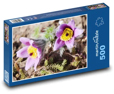 Obrázek produktu pro martinpuzzle - Puzzle 500 - Koniklec