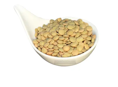 Produktbild von Khanum Khanuma- Grüne Linsen 500gr