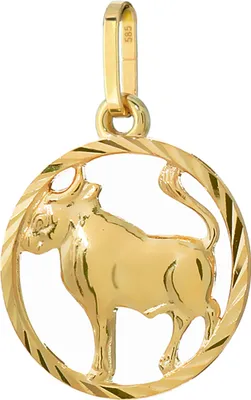 Produktbild von NKlaus Stier Sternzeichen 585 Gelb Gold 14 Karat 15mm Kettenanhänger Horoskop Zodiak 9150 13319