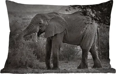 Produktbild von MuchoWow® Outdoor Kissen - Elefant - Tiere - Bäume - Schwarz - Weiß - 50x30 cm - Wetterfest - Lounge Kissen - Sofa kissen - Wohnzimmer Dekoration