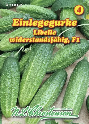 Produktbild von Einlegegurke Libelle F1 | Einlegegurkensamen von N.L. Chrestensen