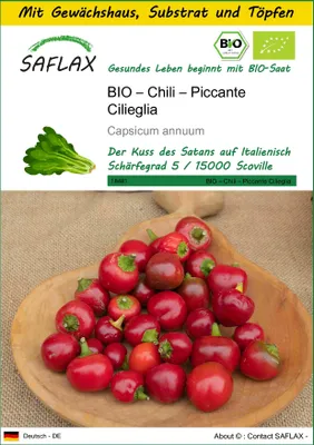 Produktbild von SAFLAX Anzucht Set - BIO – Chili – Piccante Cilieglia - Capsicum annuum - 10 Samen - Mit Mini-Gewächshaus, Anzuchtsubstrat und 2 Töpfen