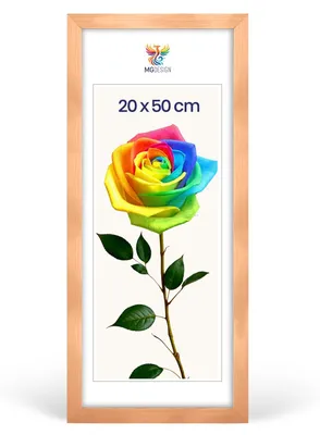 Produktbild von MG Design Bilderrahmen 20 x 50 cm - Posterrahmen mit Natur Holzrahmen (Echtholz) und bruchsicherem Acrylglas, Hoch & Quer mit stabiler Wandaufhängung