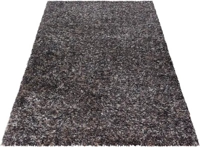 Image de Enjoy Shaggy tapis poils longs rectangle 160x230cm taupe
